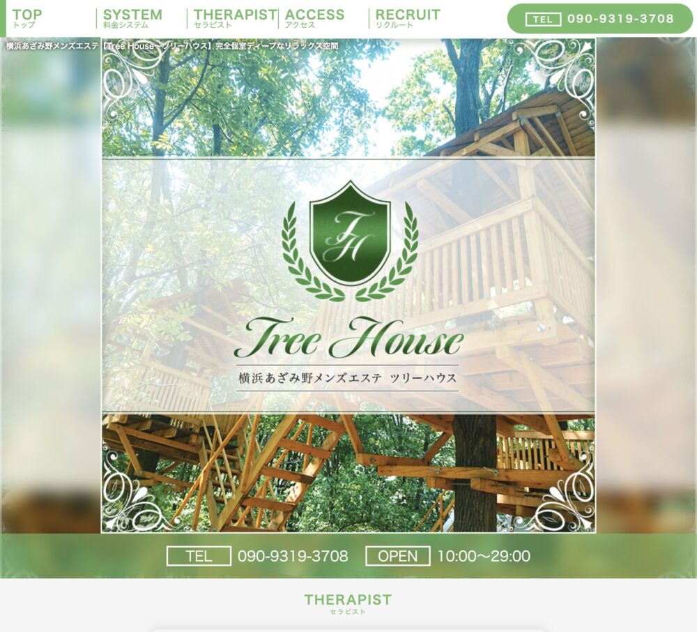 TreeHouse～ツリーハウス～ セラピスト