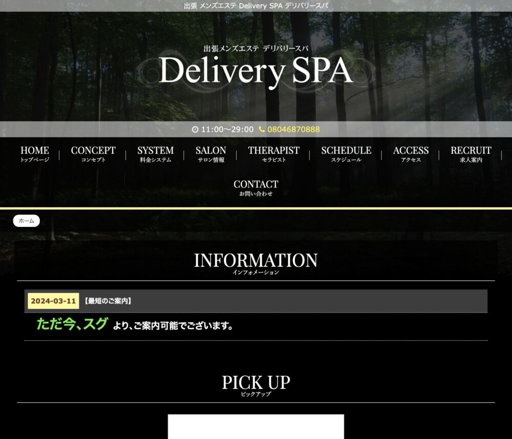 Delivery SPA～デリバリー スパ～ セラピスト