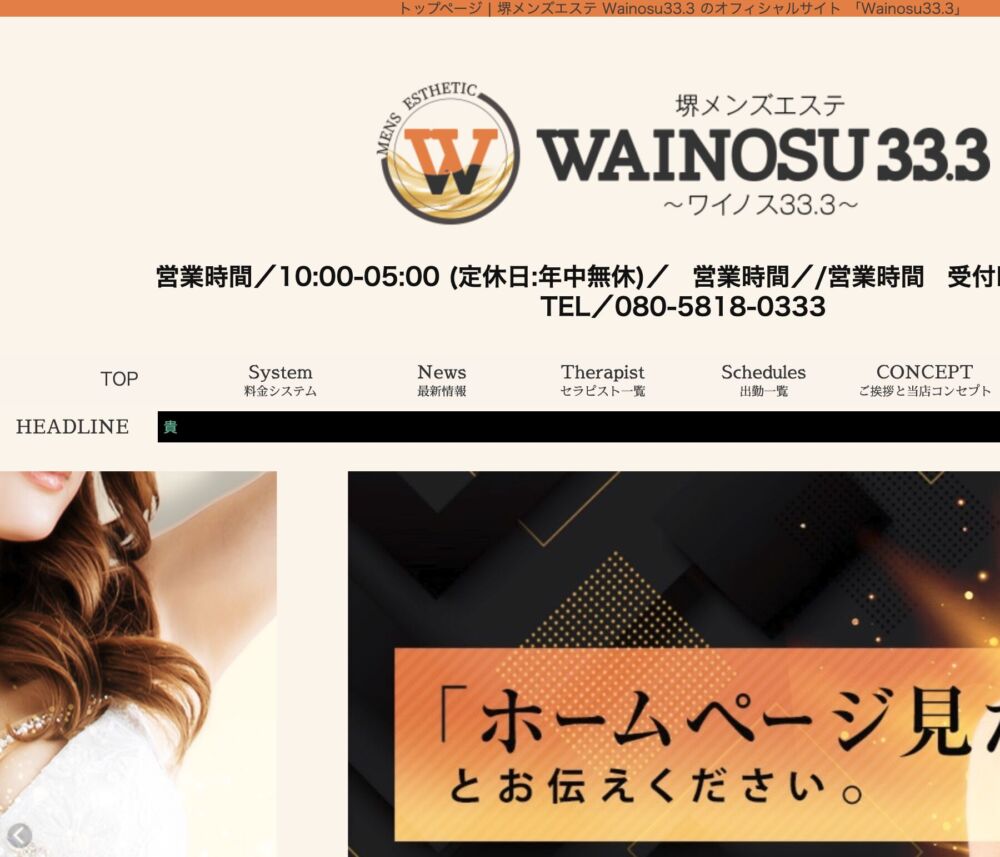 WAINOSU33.3 セラピスト