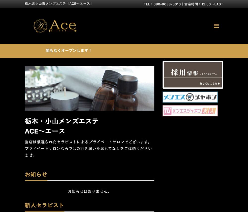 ACE～エース セラピスト