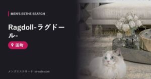Ragdoll-ラグドール- 田町